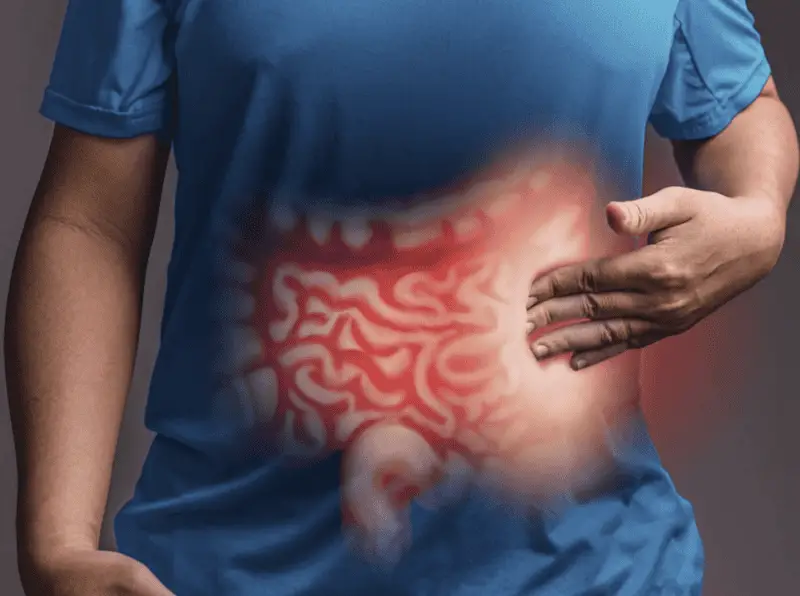 The Circadian Rhythm Crisis: How Ignoring Your Body Clock Triggers 21 Hidden Health Disasters