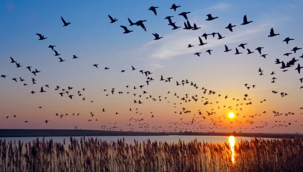 The Earth’s Magnetic Field Is Rapidly Weakening—And Scientists Are Tracking Every Change