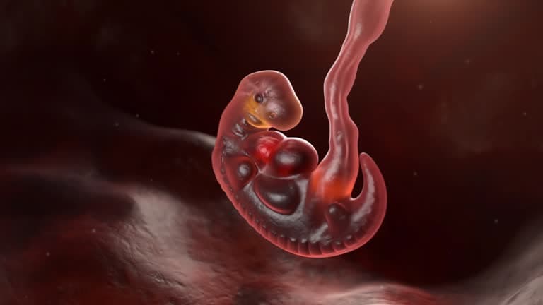 15 Times Human Evolution Took a Weird Turn