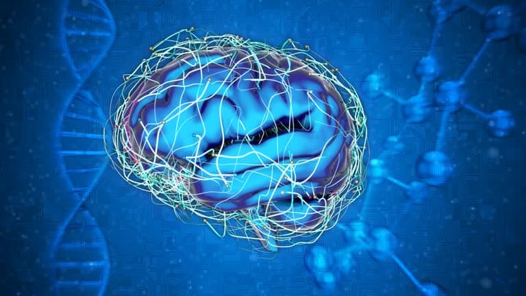 15 Creepy, Cool Things Neuroscientists Know About Your Brain