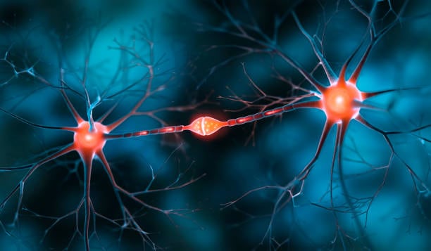 15 Creepy, Cool Things Neuroscientists Know About Your Brain