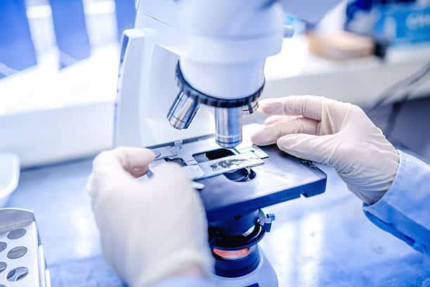 Scientists Built a Computer Out of DNA—And It’s Already Solving Cancer