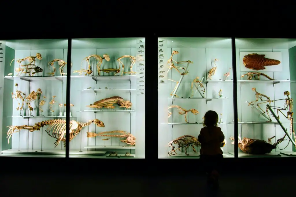 The Lab Accident That Changed Everything We Know About Human Evolution