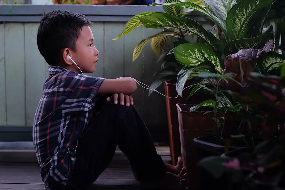 Plants Are Screaming When You Cut Them—We Just Couldn’t Hear It