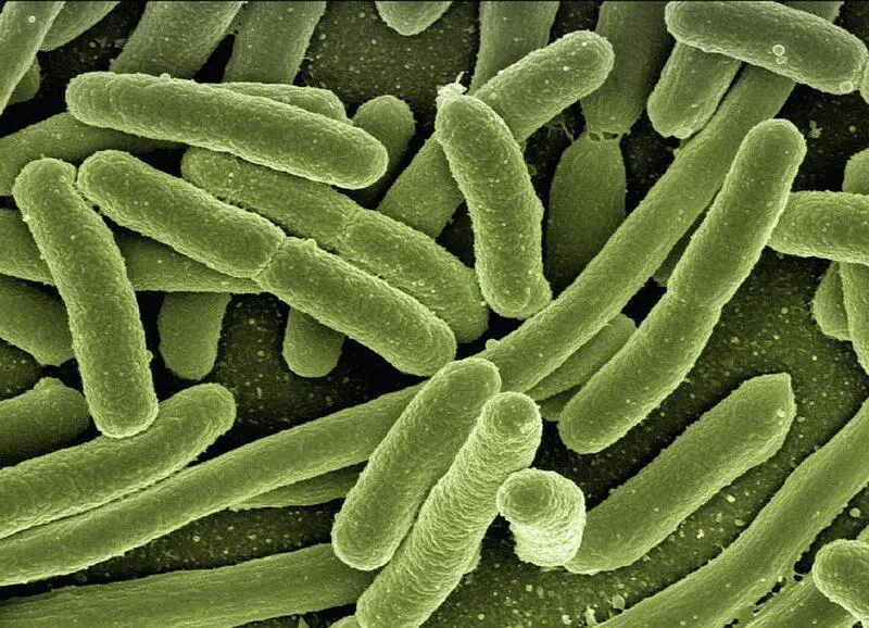 15 New Ways Scientists Are Reversing Aging in the Lab