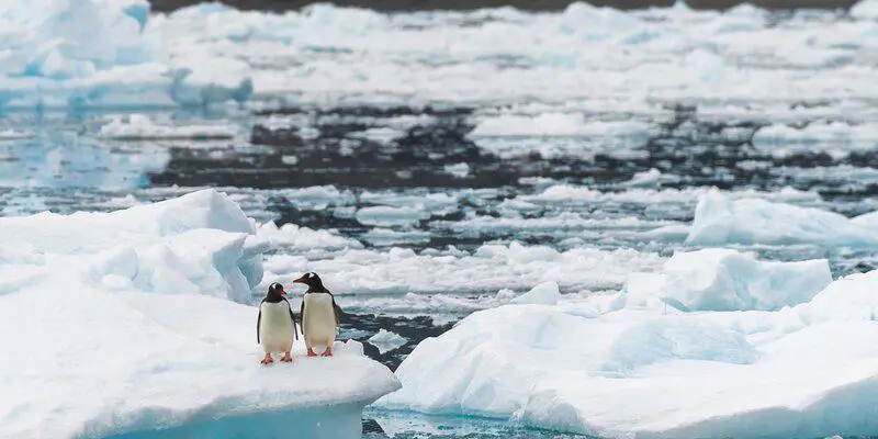 Breaking Ice: Revolutionary Discoveries Reveal Antarctica’s Hidden Biological Treasures