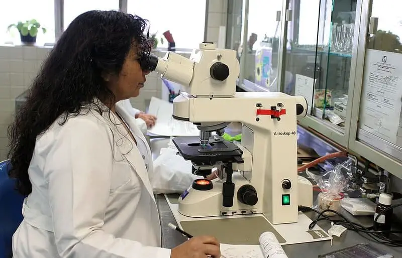 Sea Cucumbers Contain Unique Sugar That Blocks Cancer-Spreading Enzyme Sulf-2