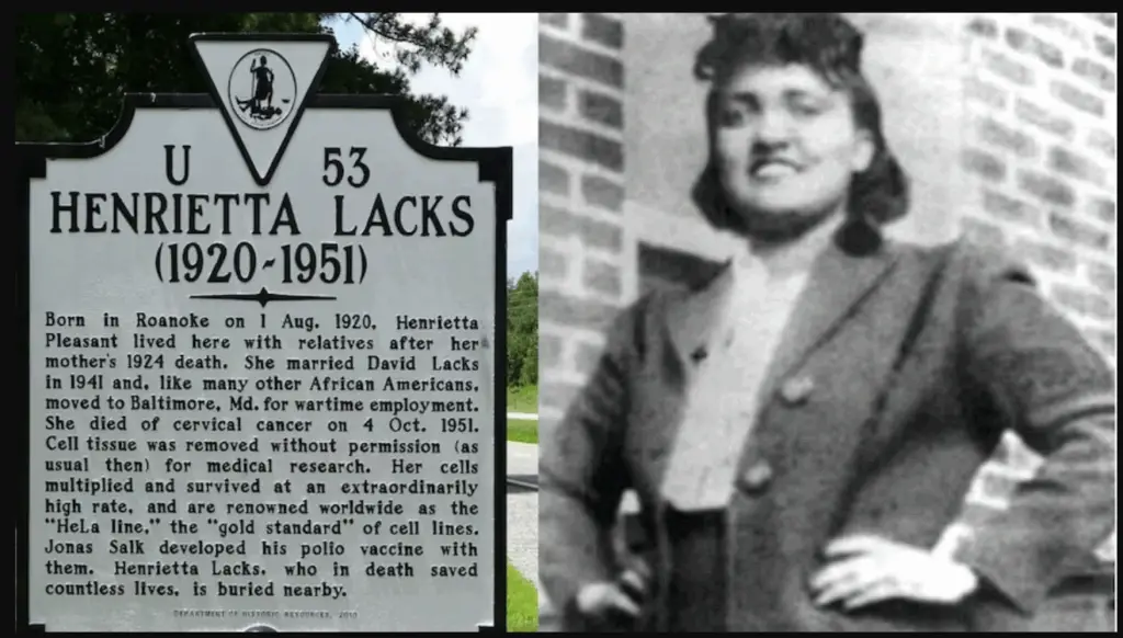 The Greatest Medical Theft in History: How One Woman’s Cancer Became Humanity’s Cure