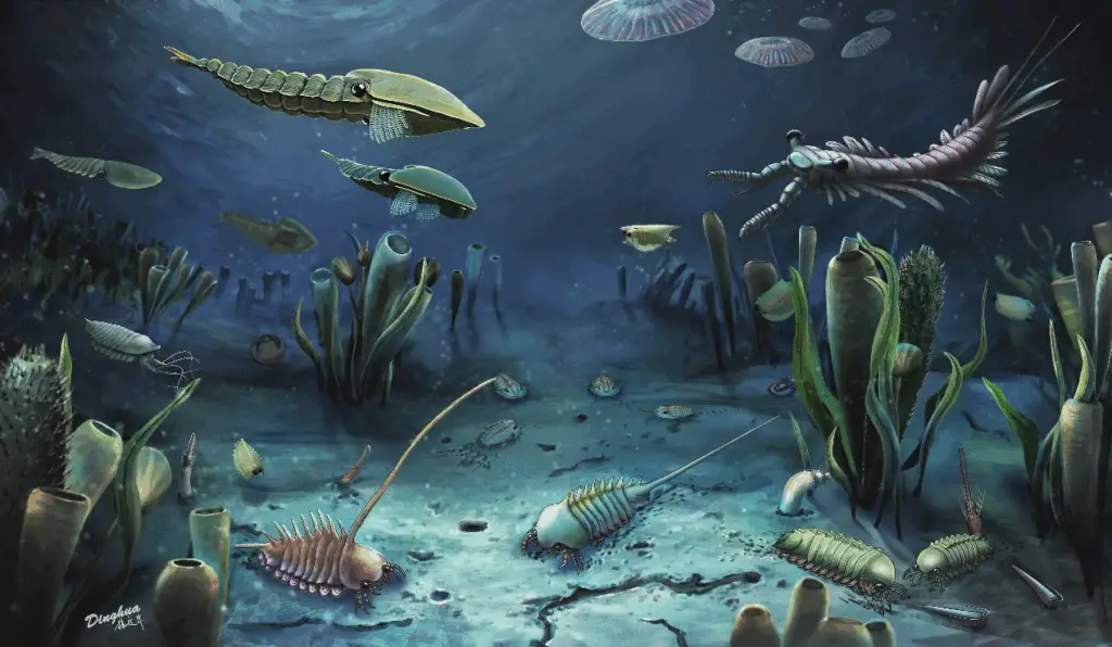 15 Evolutionary Milestones That Took Us From Goo to You