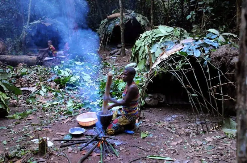 Forest Apocalypse: Why 2025’s Deforestation Crisis Threatens Human Civilization
