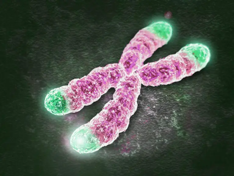 14 Scientific Studies So Recent They Haven’t Even Hit Textbooks Yet