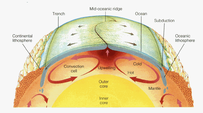 The Ocean Floor Is Moving Sideways at the Speed Your Fingernails Grow