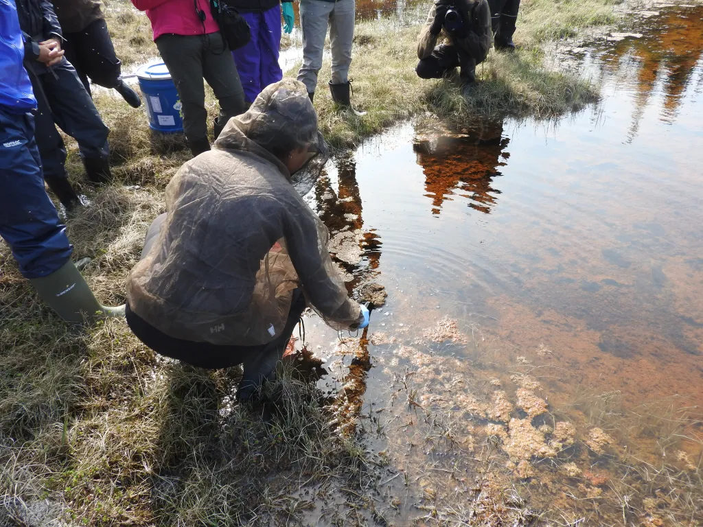 Arctic Gold Rush: Mapping the Polar Region’s Untapped Resources and Scientific Secrets