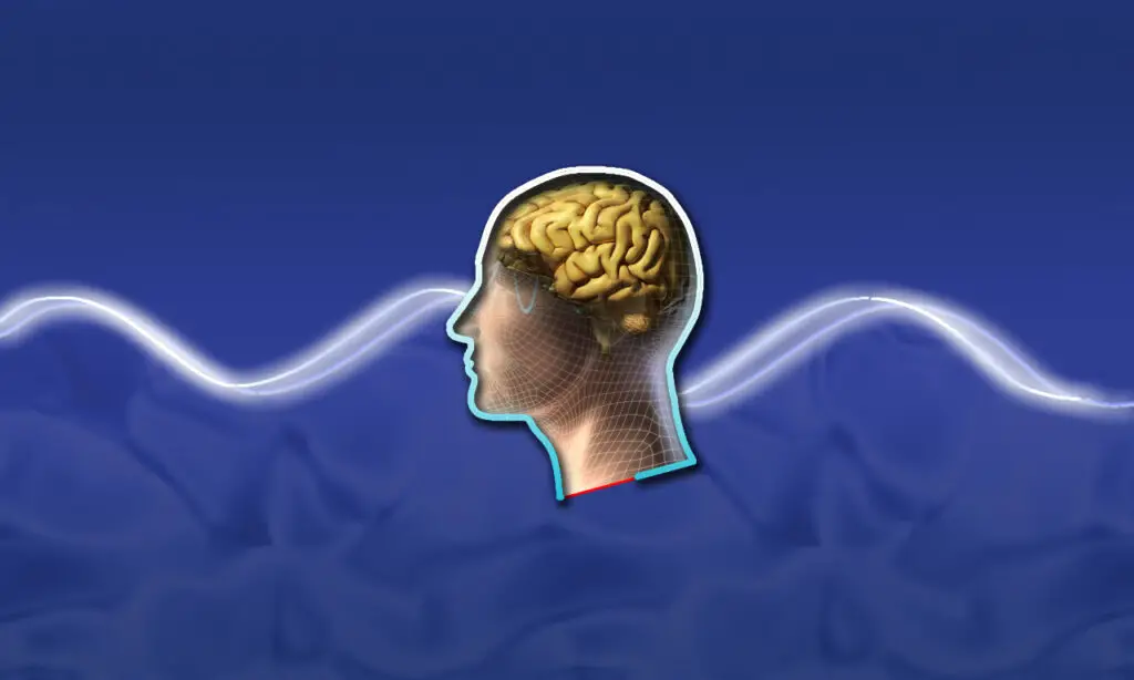 The Goldilocks Zone: Why 68-76°F Is Your Brain’s Sweet Spot for Peak Performance