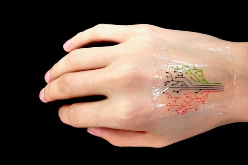 Top 15 Most Bizarre Uses for DNA