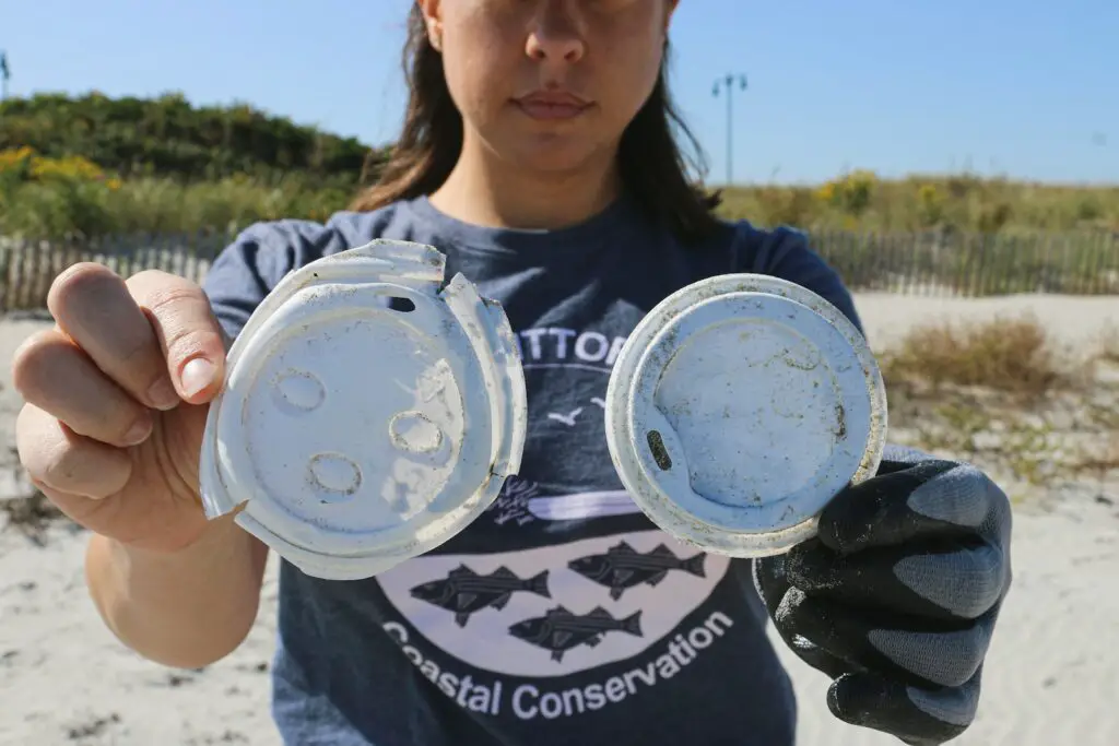 The Bacteria That Eat Plastic Waste Are Evolving Faster Than Expected