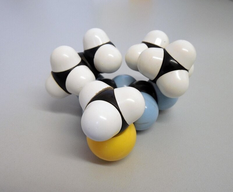 15 New Ways Scientists Are Reversing Aging in the Lab