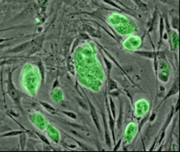 15 Recent Studies That Could Lead to Cures in the Next Decade