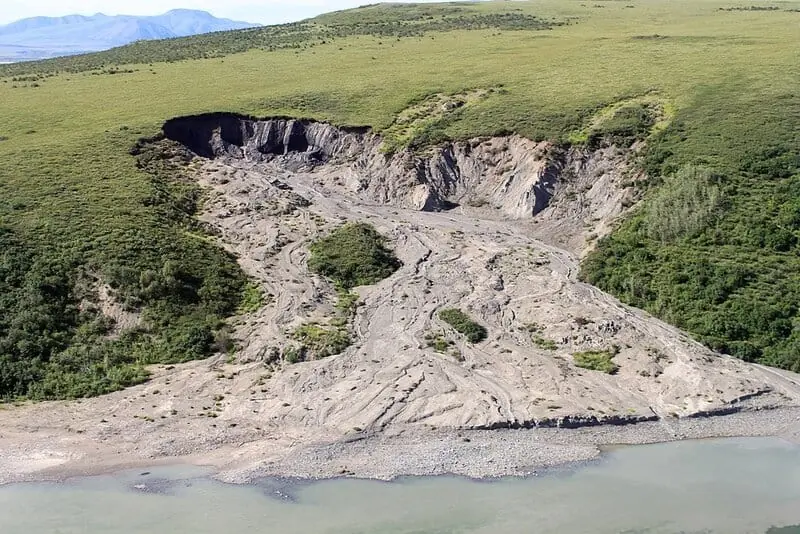 15 Imminent Threats to Biodiversity That Researchers Are Actively Addressing