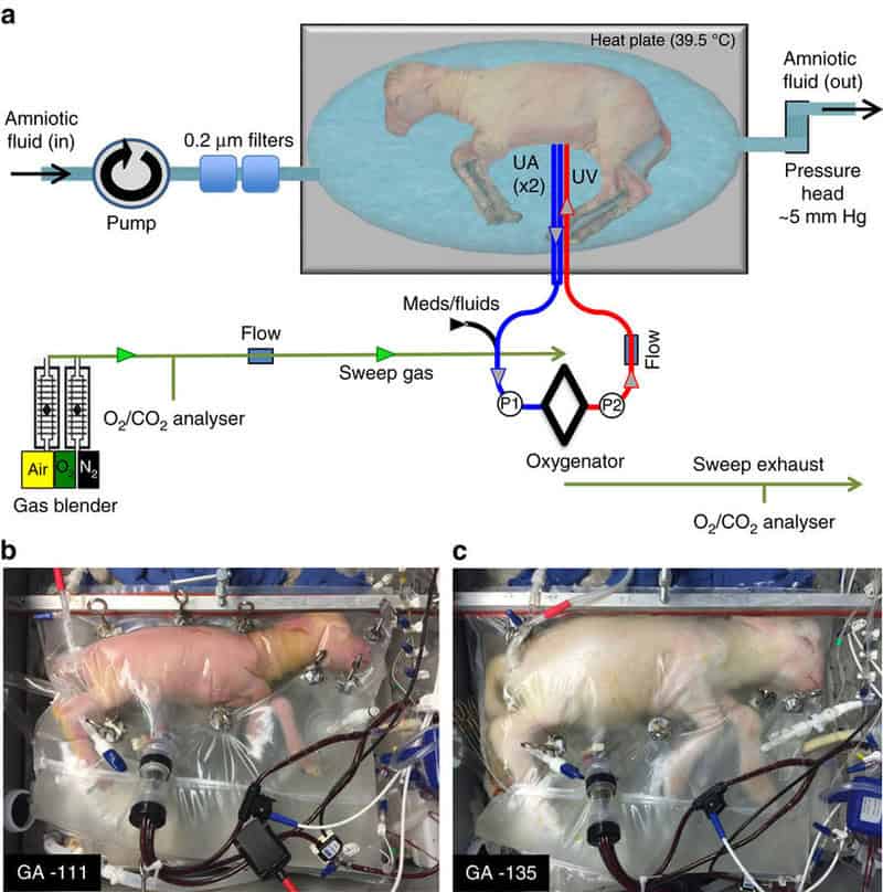 15 Sci-Fi Ideas That Are Already Happening in Real Labs