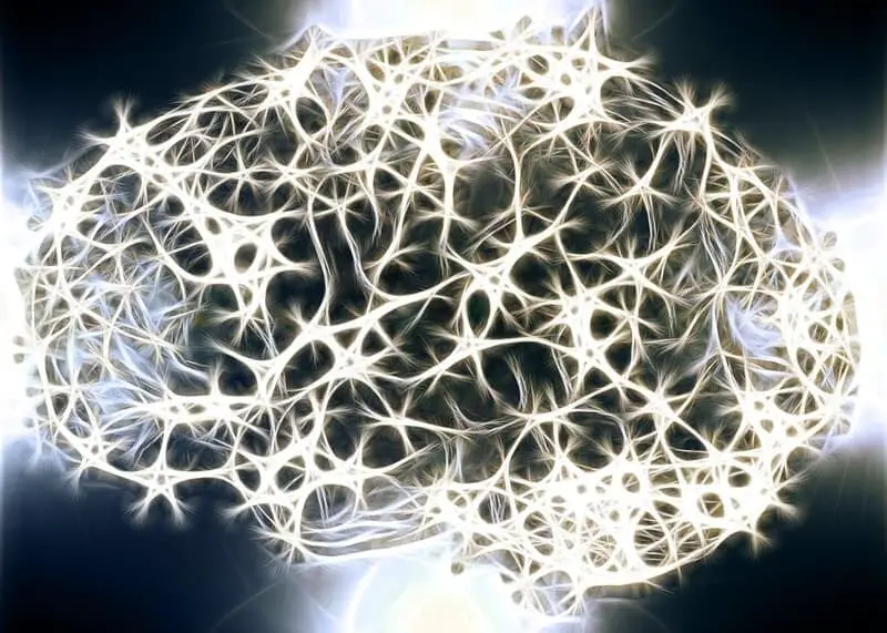 Scientists Discover Why Some 90-Year-Olds Have 30-Year-Old Brains