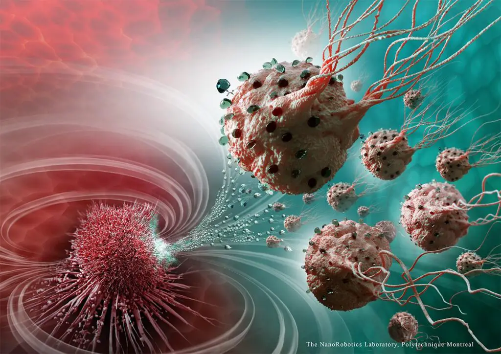 Scientists Built a Computer Out of DNA—And It’s Already Solving Cancer