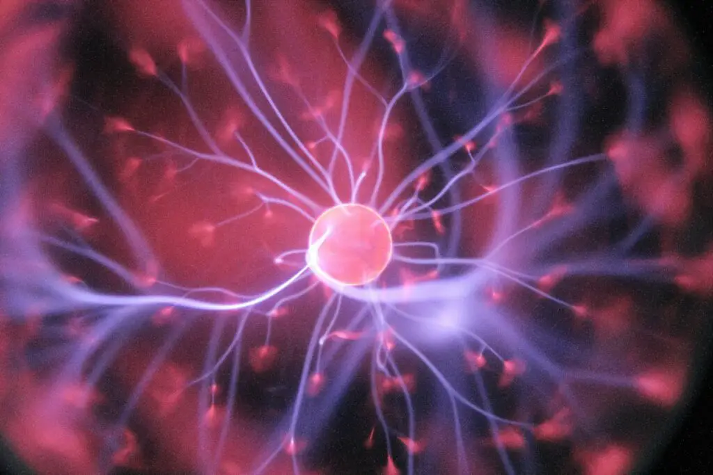 The Dark Matter of the Mind: The 95% of Your Brain You Never Use