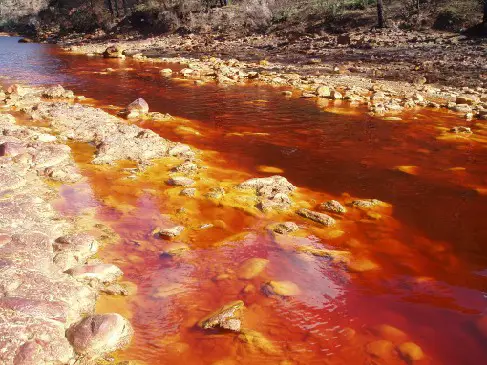 Antarctica Is Bleeding Red—And It’s Not What Climate Scientists Expected
