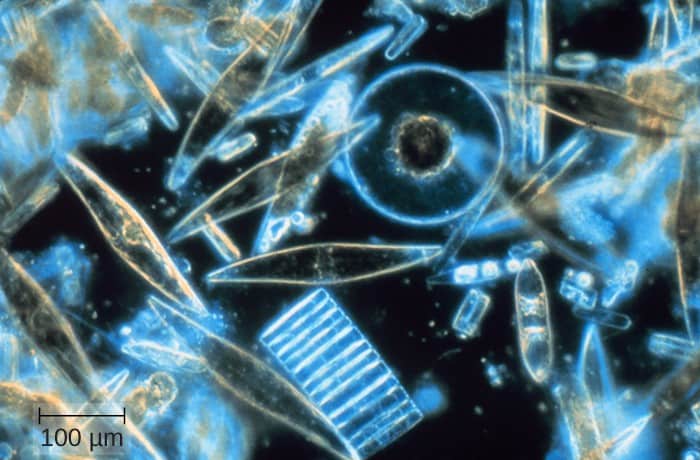 Geologists Find 4.4-Billion-Year-Old Zircon Crystals, Oldest Materials on Earth