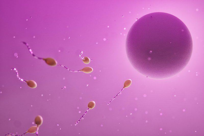 15 Evolution Mysteries That Still Baffle Scientists