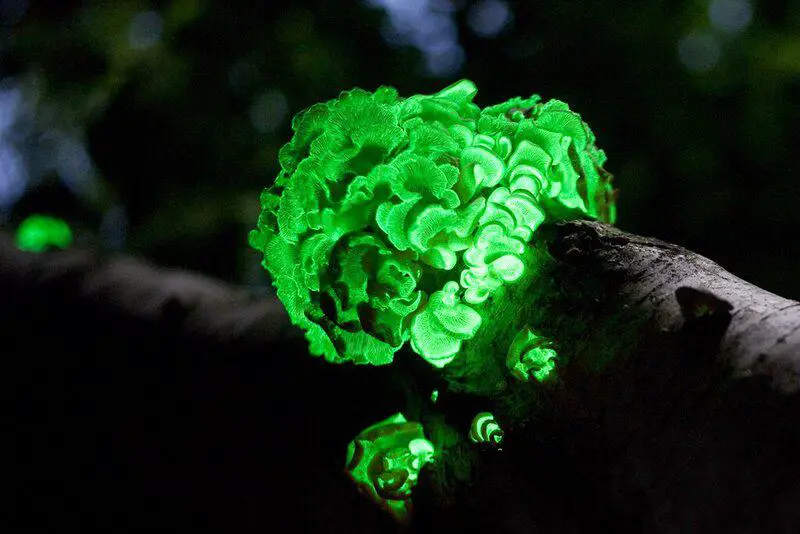 15 Strange but True Discoveries From Cutting-Edge Research Labs