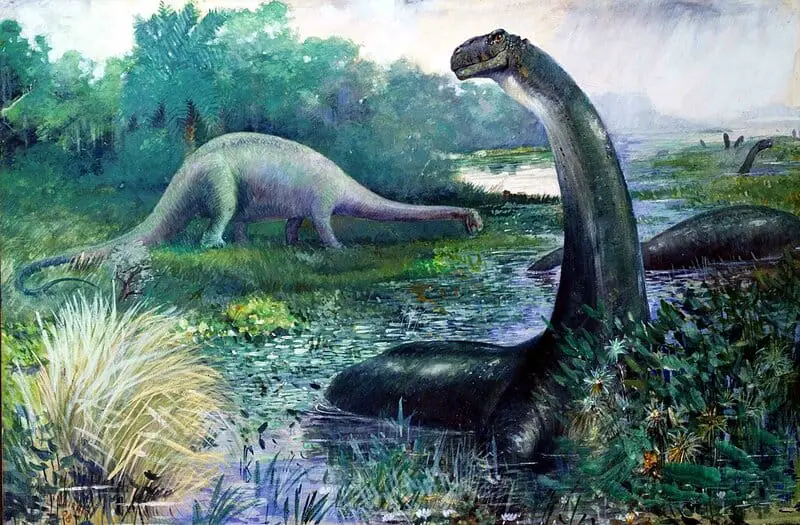 15 Evolutionary Milestones That Took Us From Goo to You