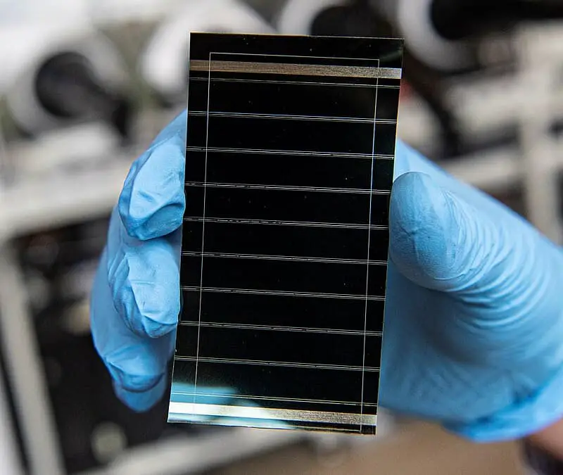 14 Scientific Studies So Recent They Haven’t Even Hit Textbooks Yet