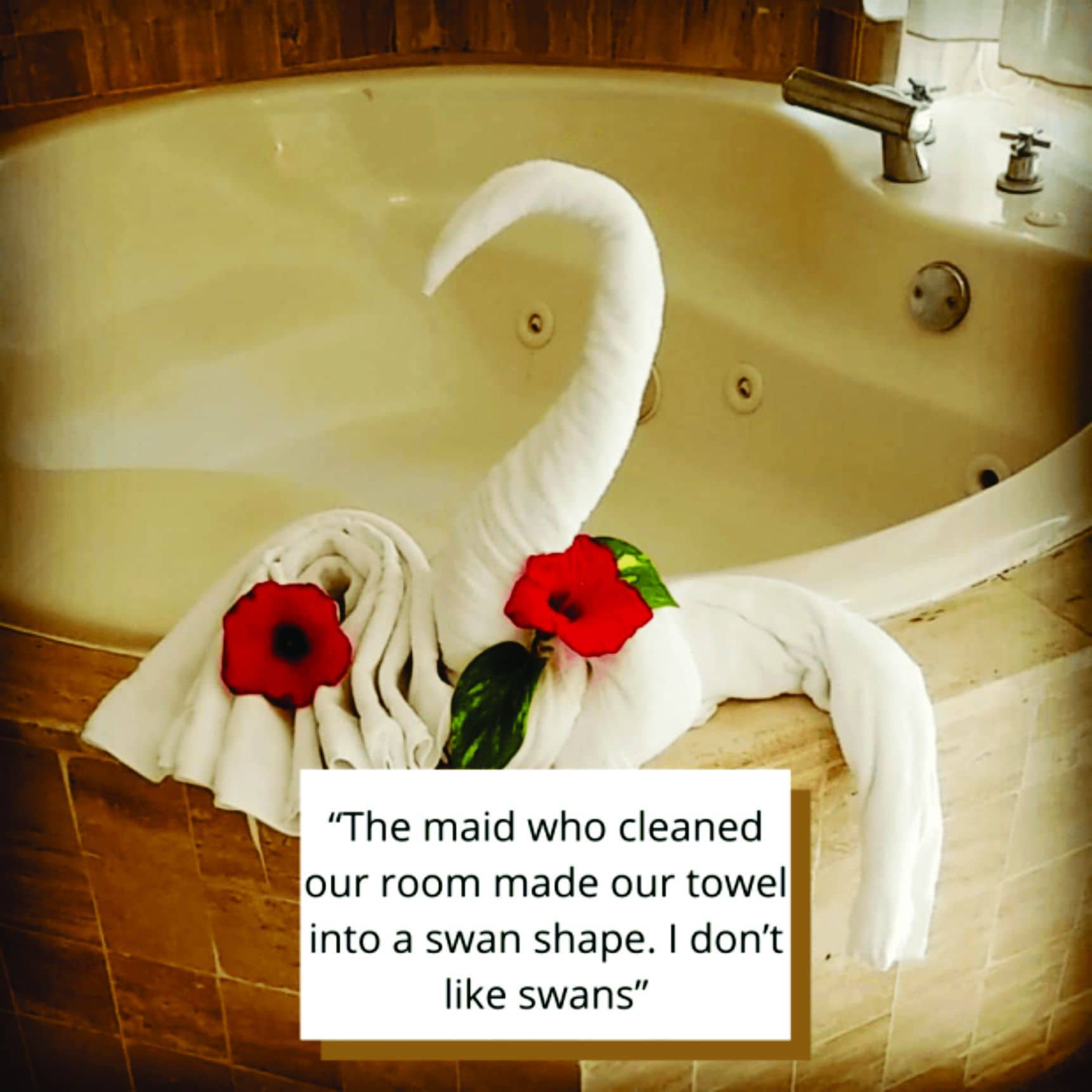 Uncovering the World’s Most Ridiculously Petty Reviews!