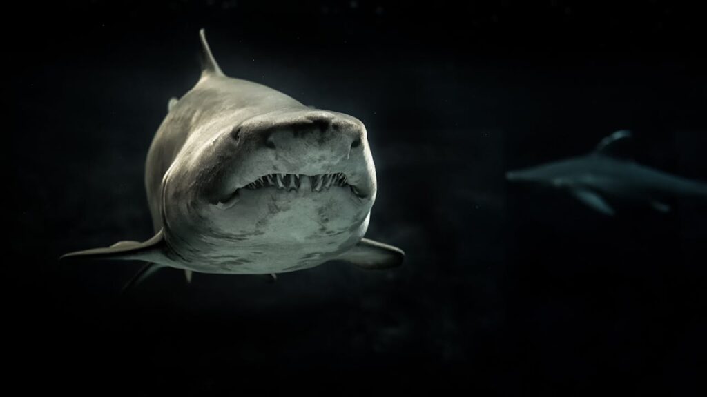Greenland Sharks Can Live for 400 Years. Scientists Are Using DNA to Unravel Their Longevity Secrets