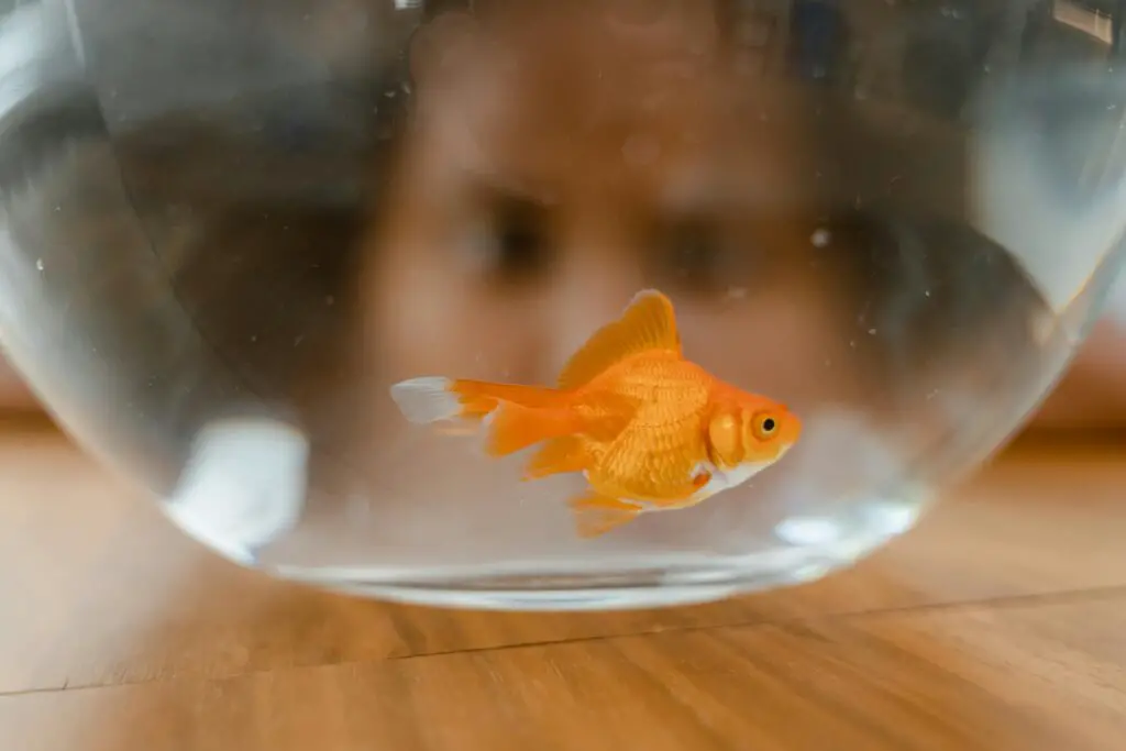 15 Strange Research Projects You Won’t Believe Got Funded