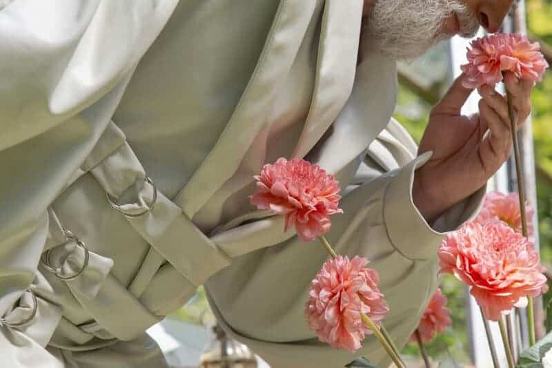 Why Your Sense of Smell Is the Early Warning System for Your Brain