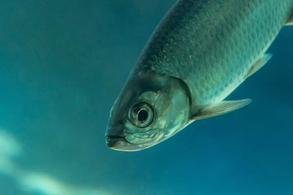 15 Strange Research Projects You Won’t Believe Got Funded