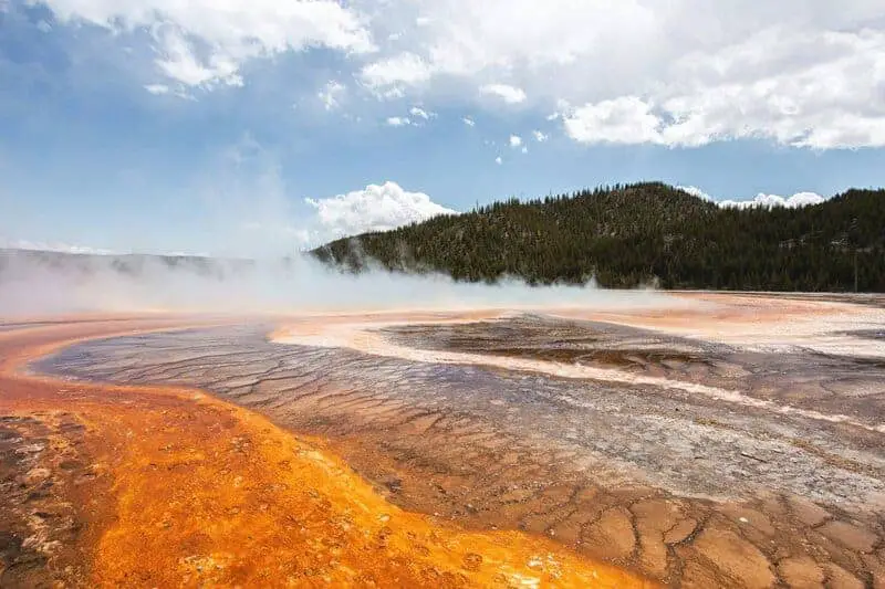 15 Weird Life Forms on Earth That Could Survive on Other Planets