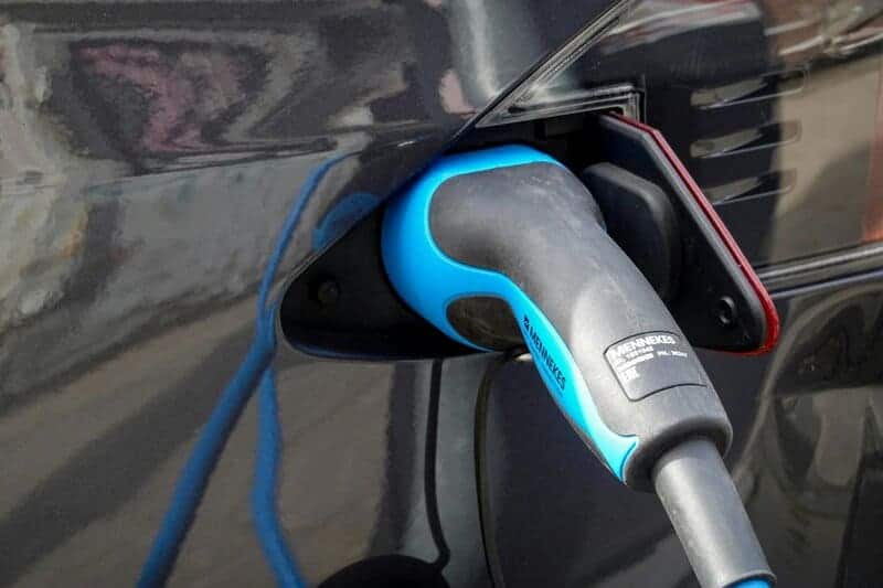 15 Ways Scientists Are Tackling the Climate Crisis Right Now