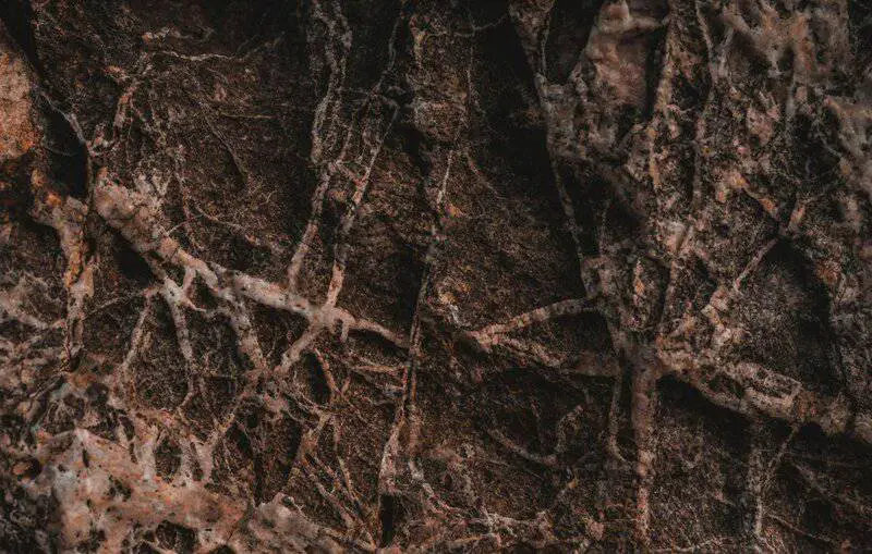 The Plant That Can Literally Eat Metal (And It’s Growing in Your Backyard)