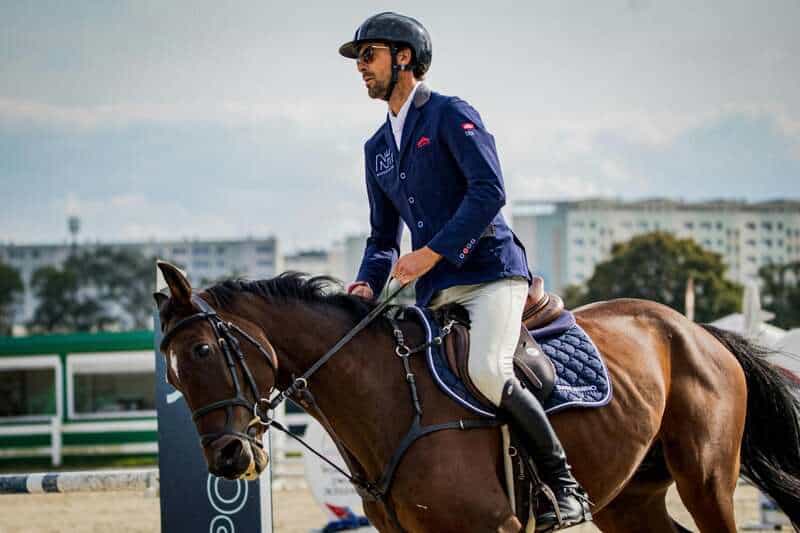 Scientists Decode Horse Facial Expressions to Better Understand Their Emotions