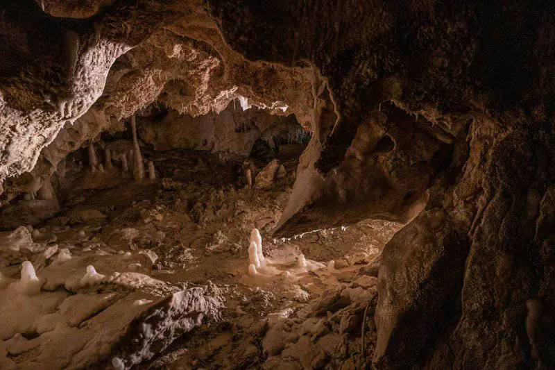 Breaking Ice: Revolutionary Discoveries Reveal Antarctica’s Hidden Biological Treasures