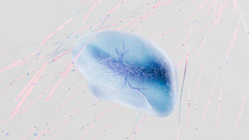 The Dark Matter of the Mind: The 95% of Your Brain You Never Use