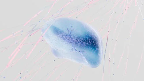 15 Creepy, Cool Things Neuroscientists Know About Your Brain