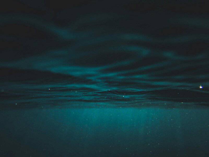 The Ocean’s Missing Sound: Why Whales Can’t Hear Each Other Anymore