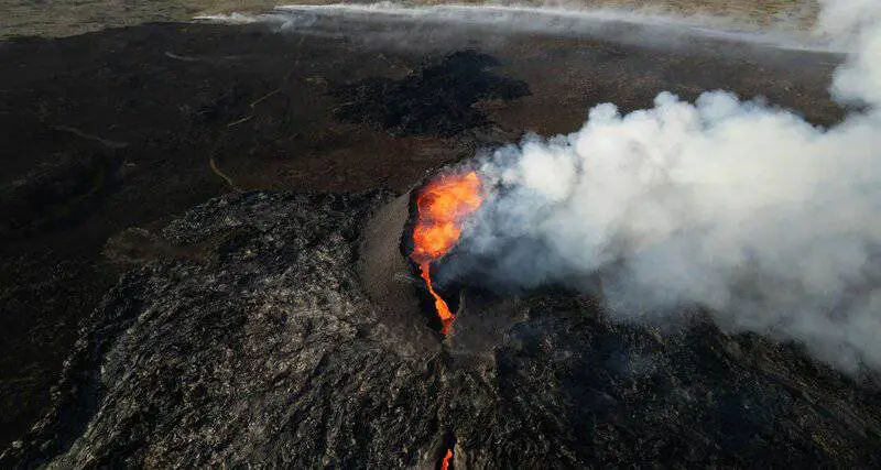 15 Crucial Elements That Made Life on Earth Possible