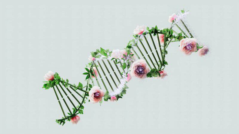 The Greatest Medical Theft in History: How One Woman’s Cancer Became Humanity’s Cure