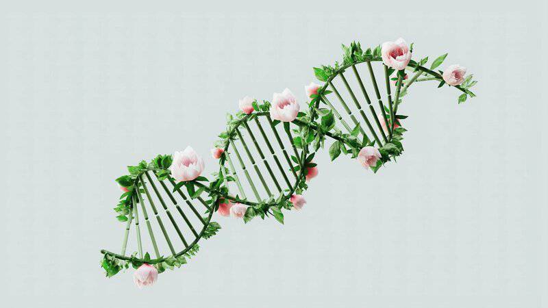 Should We Bring Back Extinct Species? What Science and Ethics Say