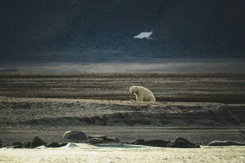 Arctic Gold Rush: Mapping the Polar Region’s Untapped Resources and Scientific Secrets